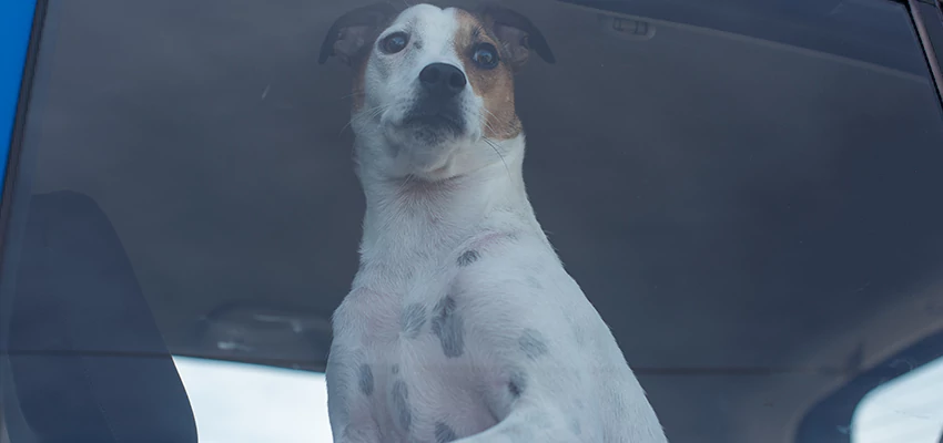 Car Lockout Solutions in Camp Pendleton North, California